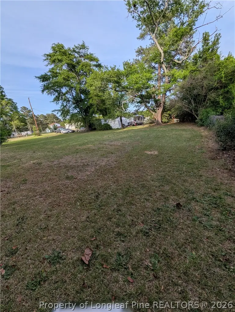 705 Peele Street, Laurinburg, NC 28352 - #1