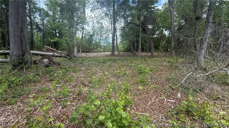 Mcdougald Road, Broadway, NC 27505 - #3