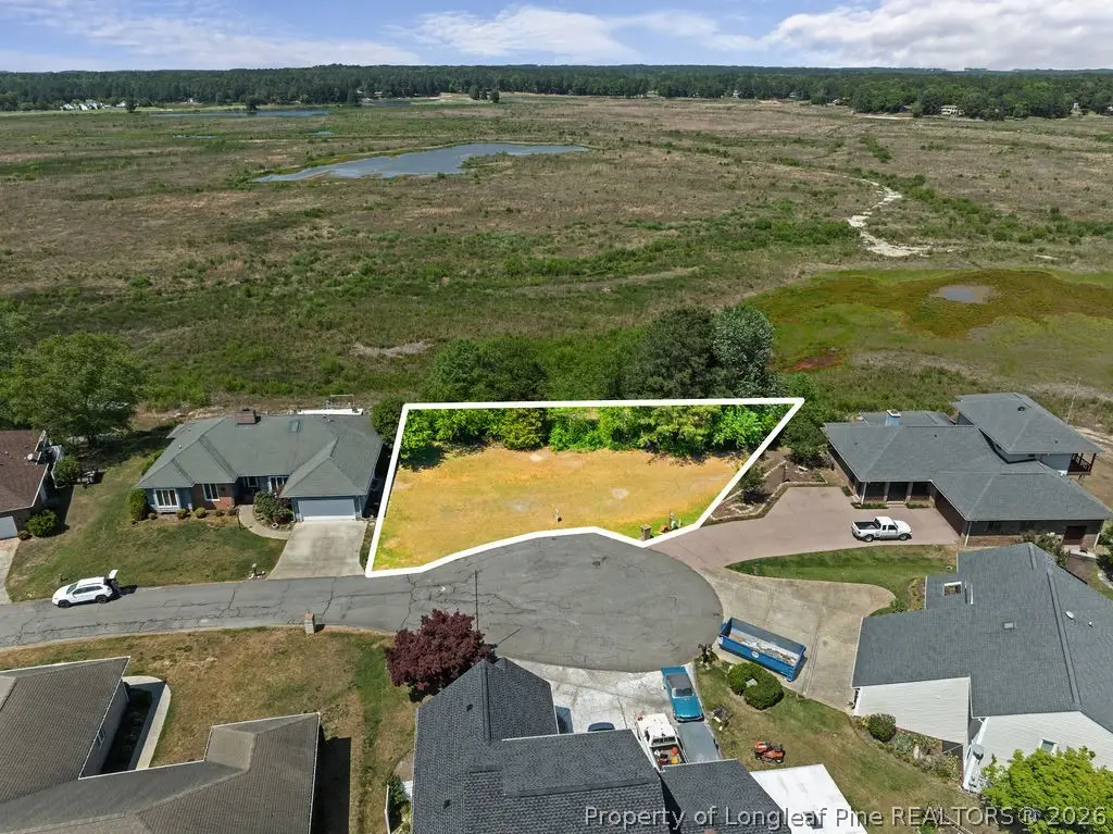 873 Castleberry Court, Vass, NC 28394 - #1