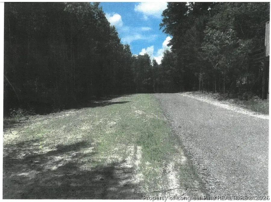Pumping Station Road Road E, Sanford, NC 27330 - #3