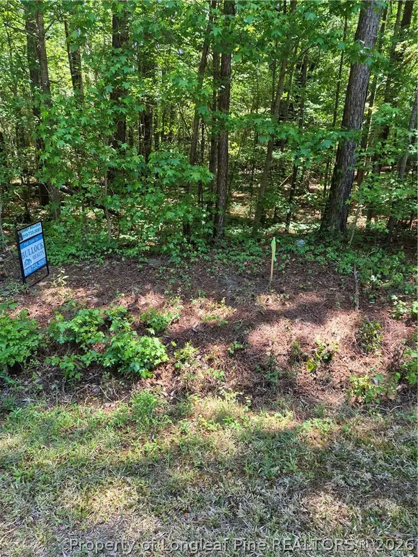 Near 294 Airport Road Road, Bladenboro, NC 28320