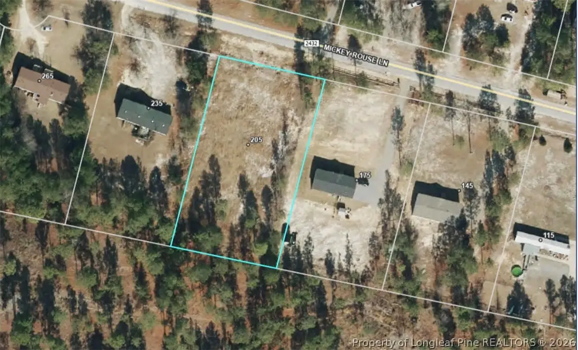 205 Mickey Rouse Lane, Cameron, NC 28326 - #1