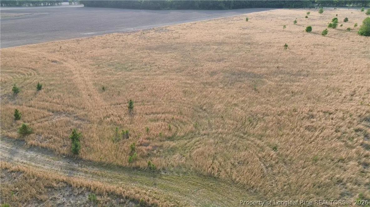 Lot 1 Fairley Road, Maxton, NC 28364 - #1