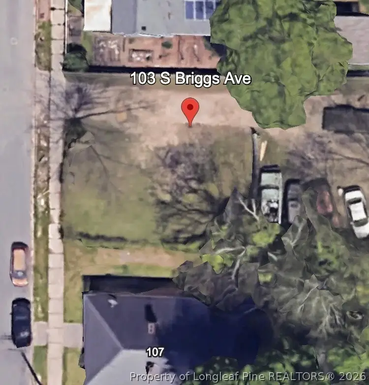 103 S Briggs Avenue, Durham, NC 27703 - #1