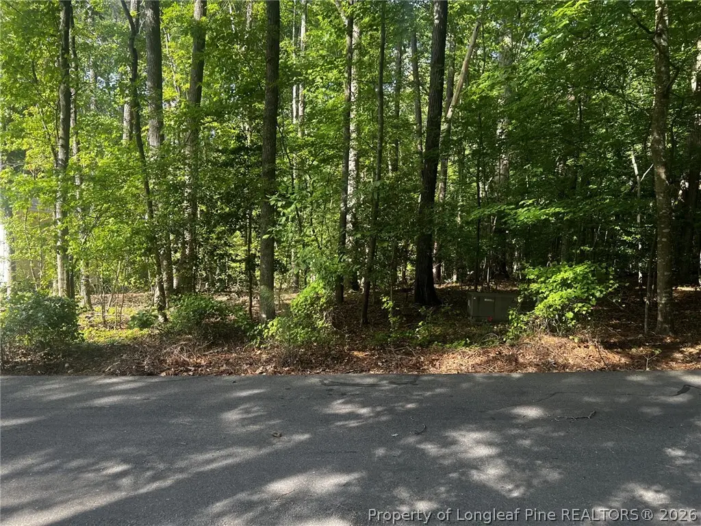 992 Whistling Wind, Sanford, NC 27332 - #1