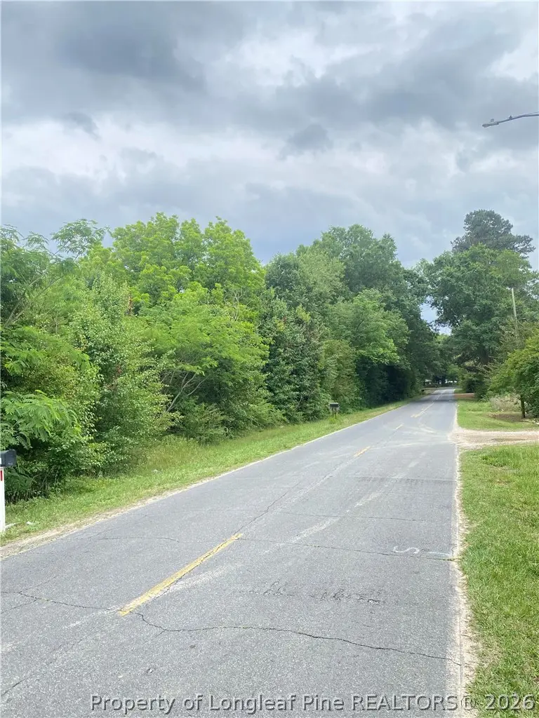 Kiser Road, Laurinburg, NC 28352 - #1