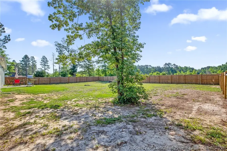 351 Sandy Grove Road, Parkton, NC 28371 - #3