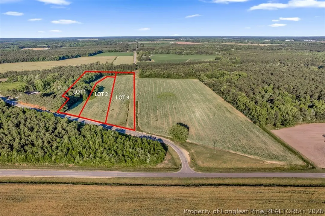 00 Pope Wray (lot 1) Road, Faison, NC 28341 - #1
