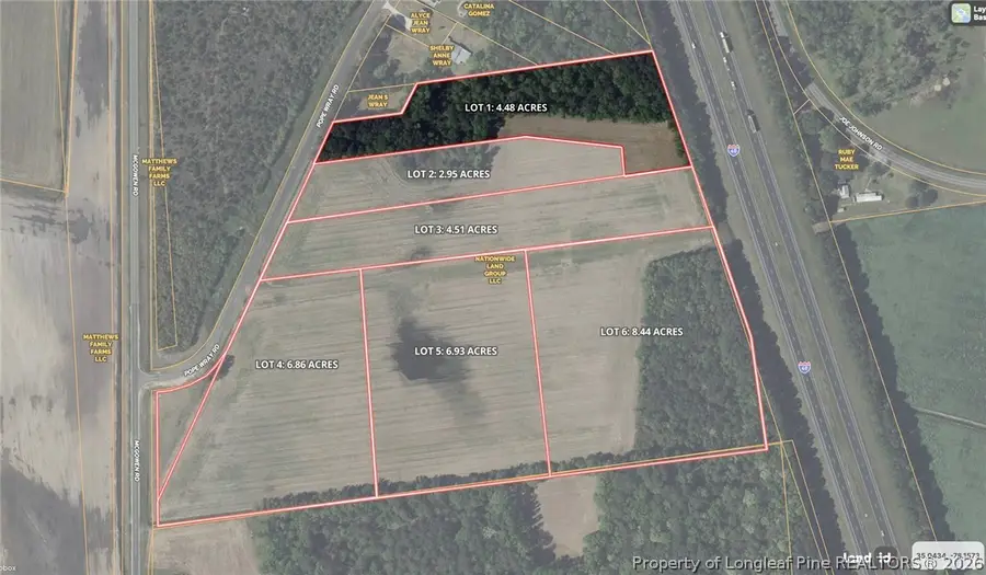 00 Pope Wray (lot 1) Road, Faison, NC 28341 - #2