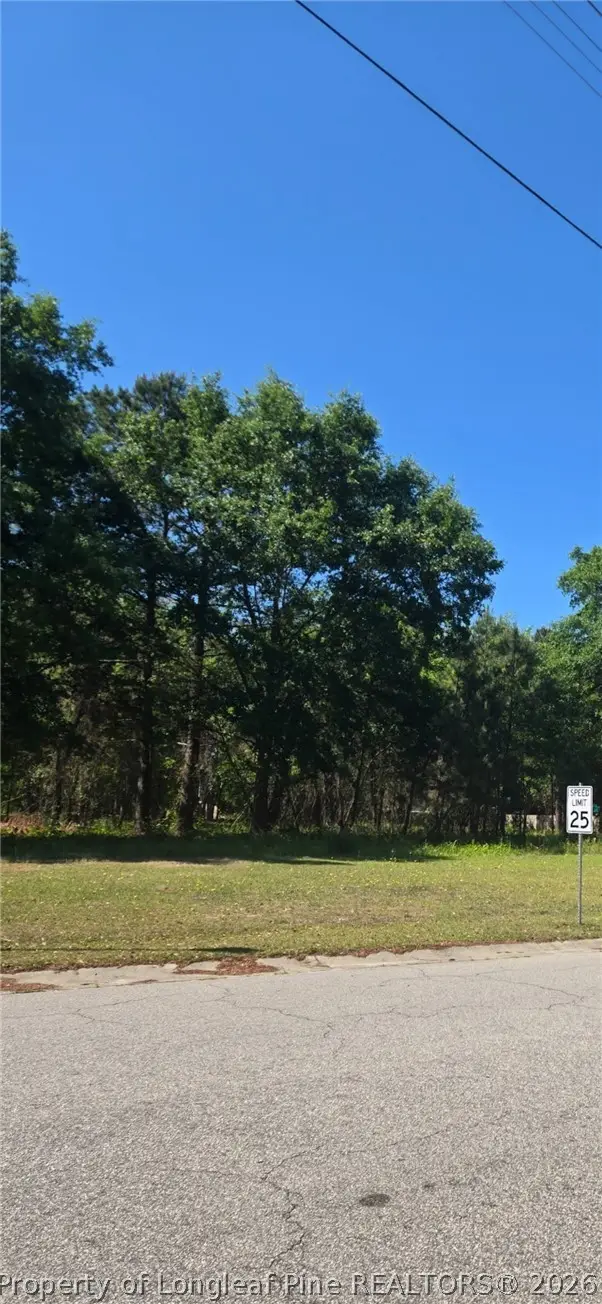 4028 S Main St & Edwin Deaver Street, Hope Mills, NC 28348 - #1