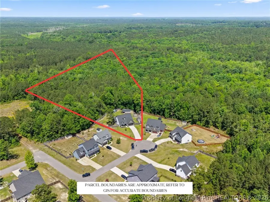 43 White Cloud Lane, Sanford, NC 27332 - #3