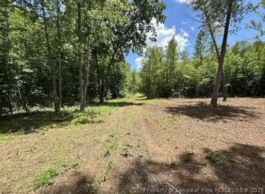 Pointe Mayo Drive, Roxboro, NC 27574 - #3