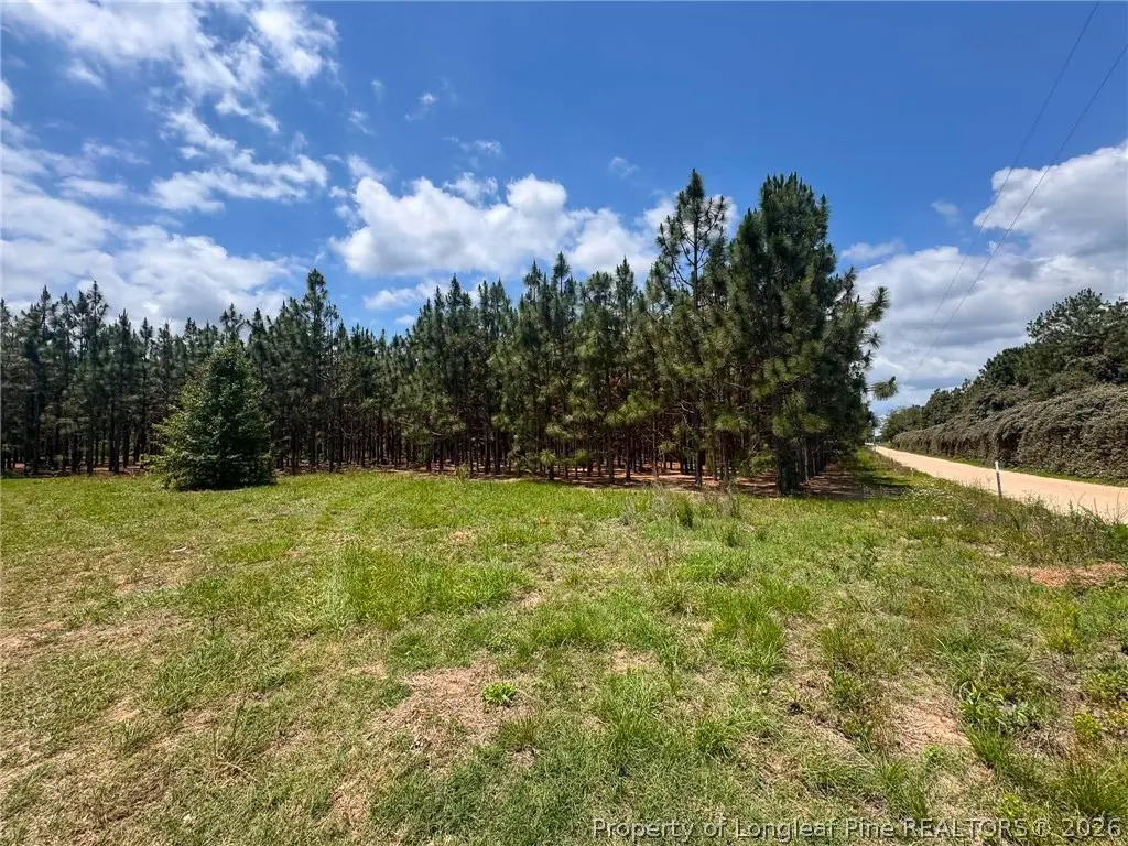 Gainey Road, Raeford, NC 28376 - #1