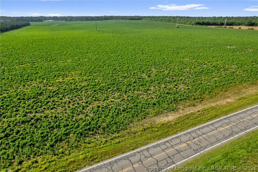 00 Old Wire (lot 14) Road, Shannon, NC 28386 - #3
