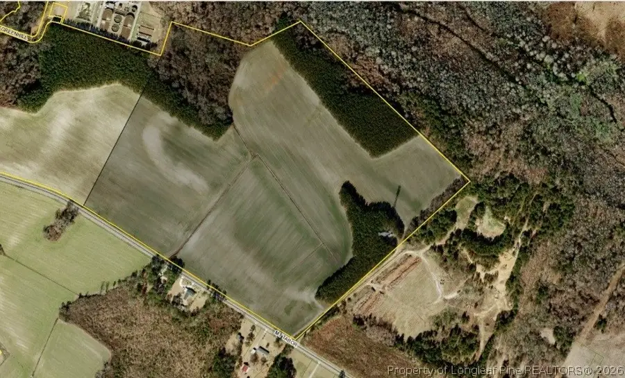 Mt Tabor Road, Red Springs, NC 28377 - #2