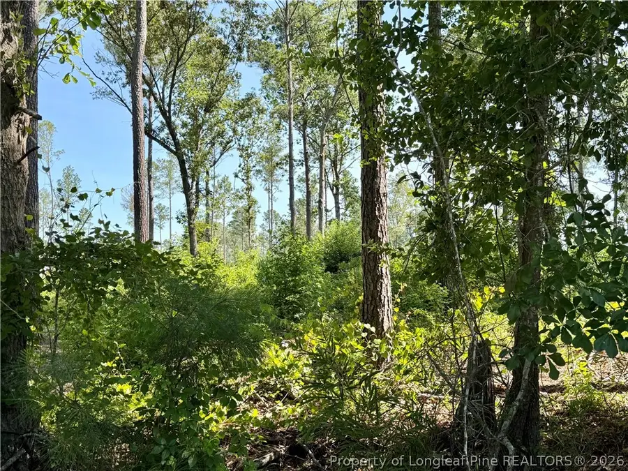 1396 Mercer Mill Road, Lumberton, NC 28358 - #3