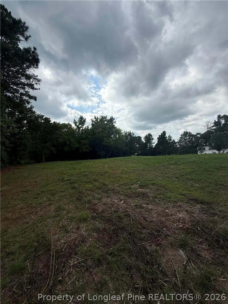 Carroll Store Road, Autryville, NC 28318 - #2