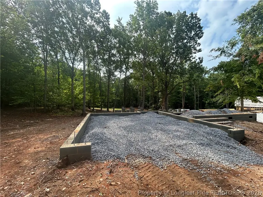 Lot 2 Buckhorn Road, Sanford, NC 27330 - #3