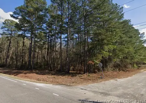 0 Pine Log Road, Lumberton, NC 28384 - #1
