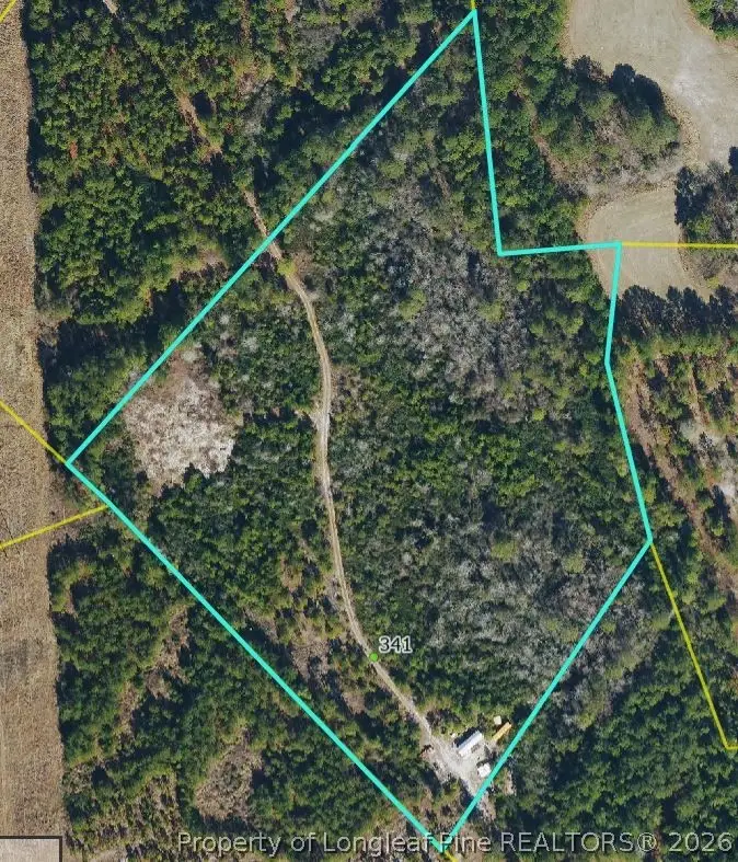 341 Squires Farm Road, White Oak, NC 28399 - #1
