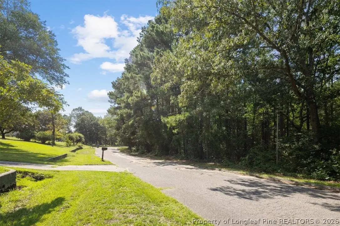 424 Timberline Drive, Fayetteville, NC 28311 - #1