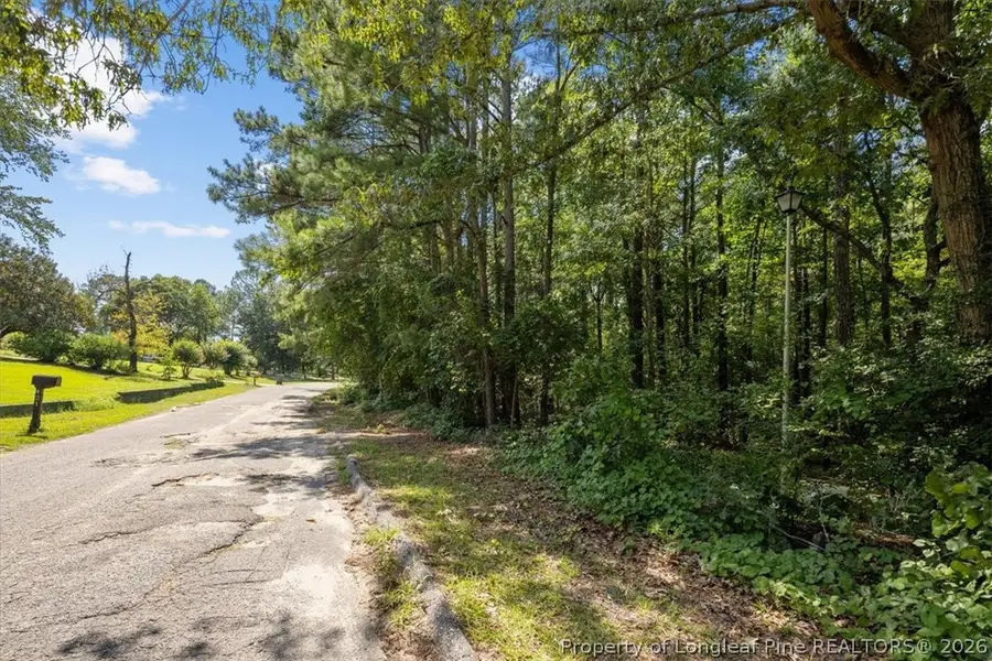 424 Timberline Drive, Fayetteville, NC 28311 - #2