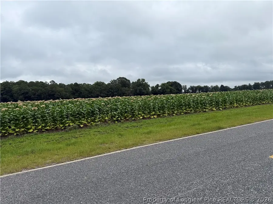 584 Red Oak Farm Road, Tar Heel, NC 28392 - #2