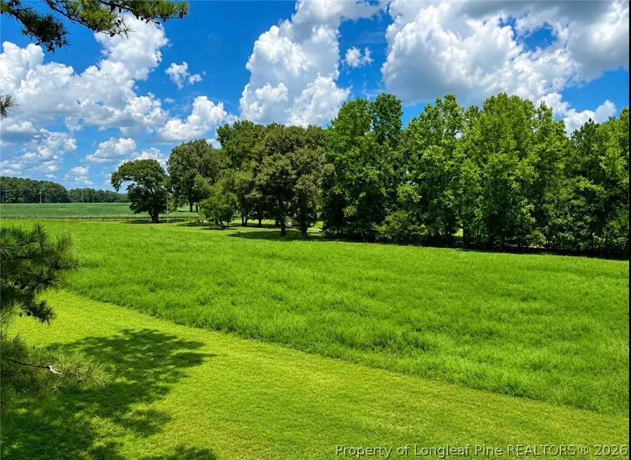Lot 2 1870 Mccormick Road, Sanford, NC 27332 - #2