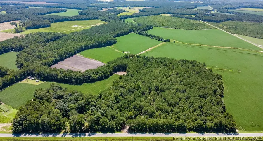 TBD Balfour Road, Lumber Bridge, NC 28357 - #2