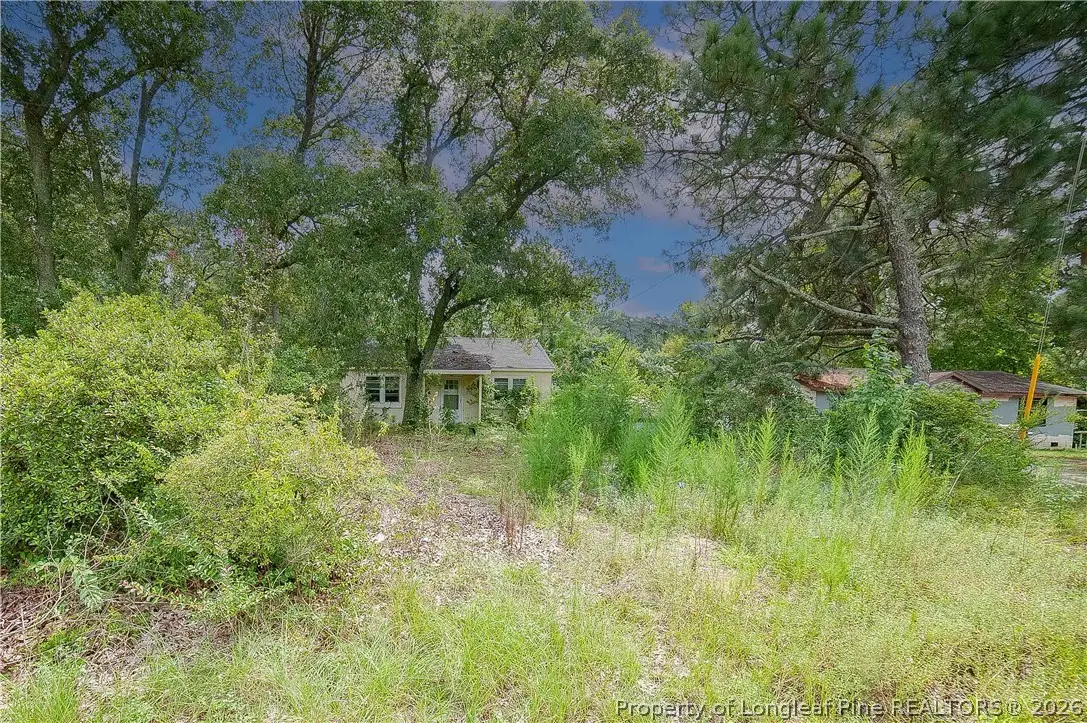3140 Doc Brown Road, Raeford, NC 28376 - #1