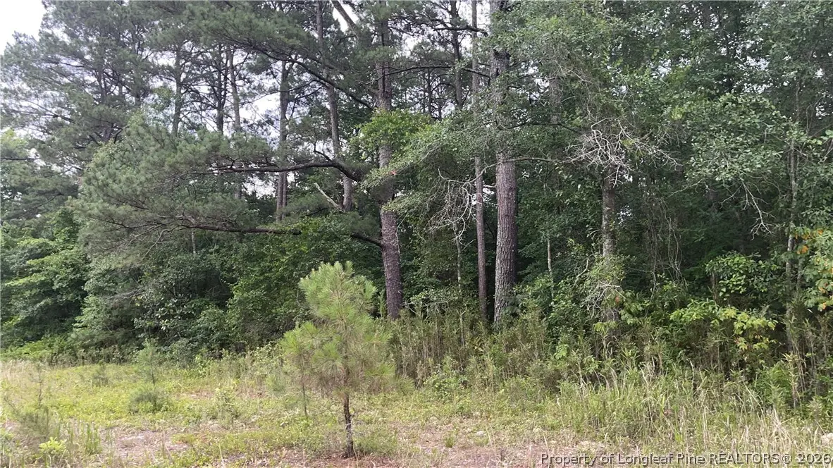 Sanderosa (0477-88-1702) Road, Fayetteville, NC 28312 - #1