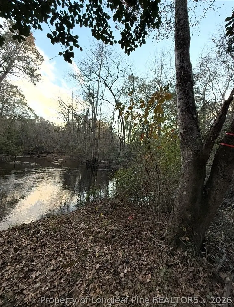 Higgins Lane, Raeford, NC 28376 - #2