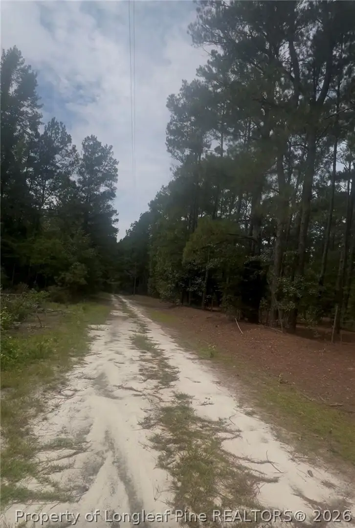 Higgins Lane, Raeford, NC 28376 - #3
