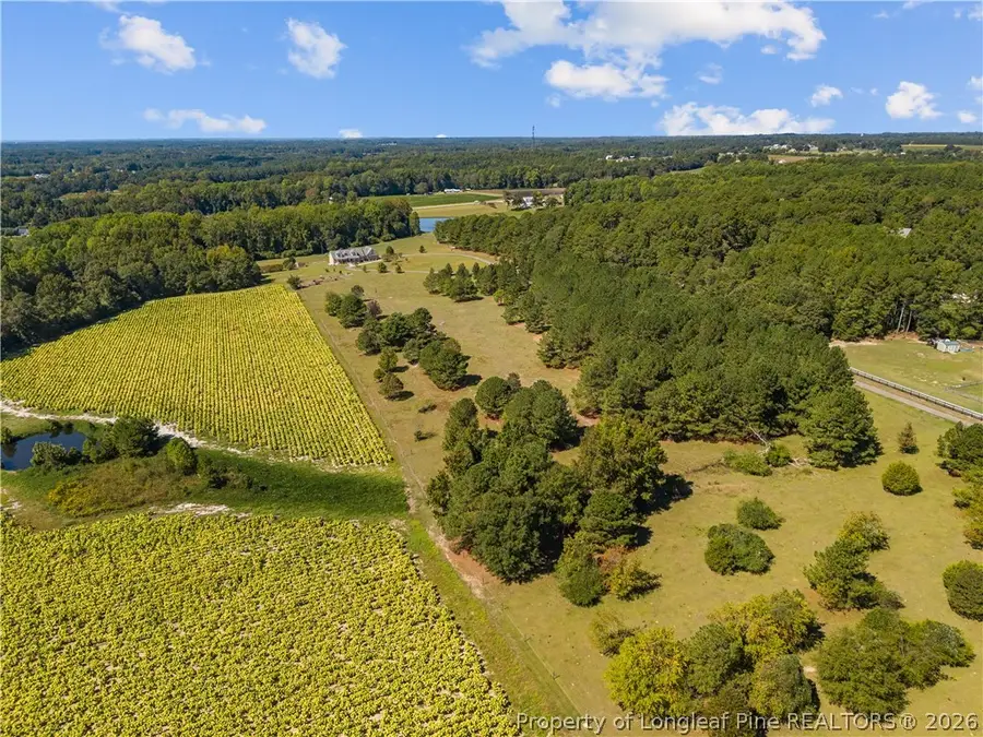592 Mcneill Mill Road, Broadway, NC 27505 - #2