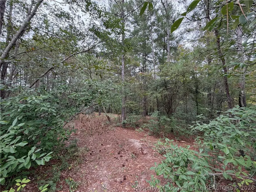 Lot 7a Mumford Road, Raeford, NC 28376 - #3