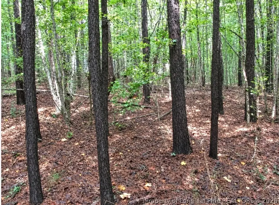 6700 Cass Holt Road, Holly Springs, NC 27540 - #2