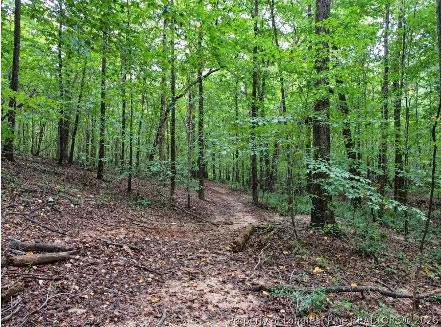 6700 Cass Holt Road, Holly Springs, NC 27540 - #3