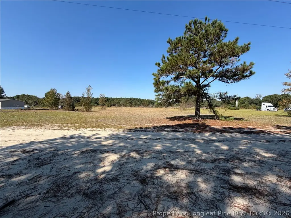 0 Microwave Tower Road, Roseboro, NC 28382 - #1