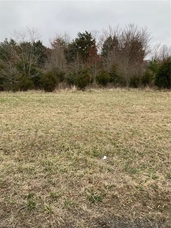 00 Local Road, Mayodan, NC 27027 - Image #2