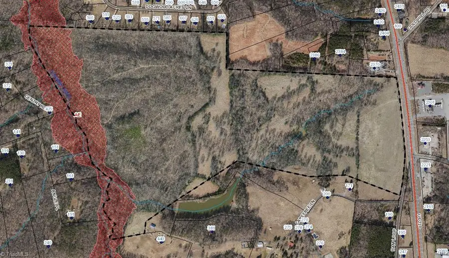 192.74 AC Us Highway 220, Stokesdale, NC 27357 - #2