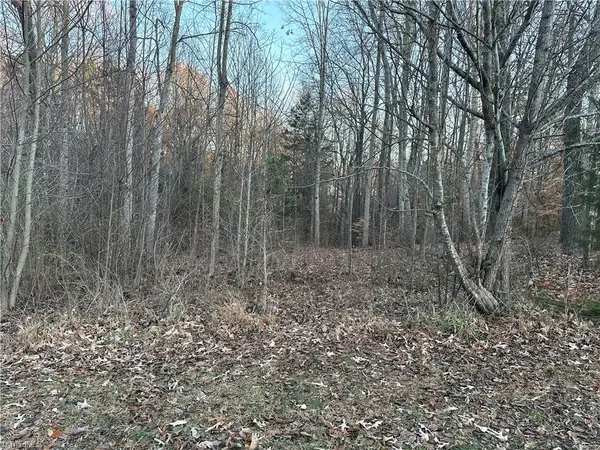 0 Booker T Womble Road, Randleman, NC 27317