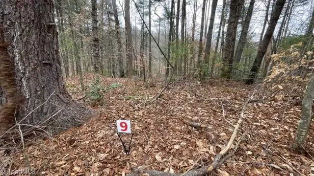 #2