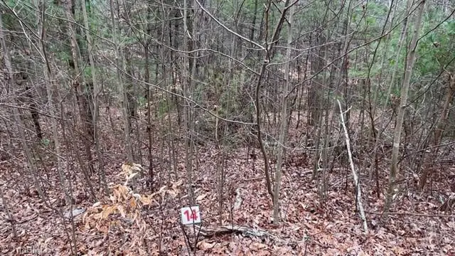 #1