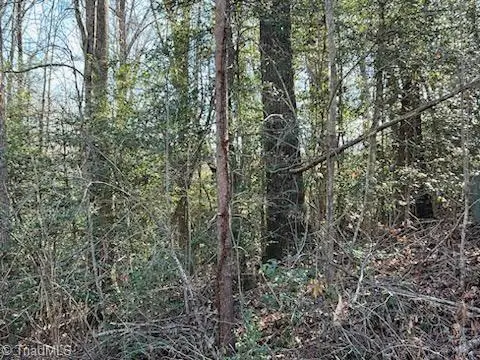 #3