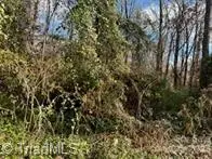 TBD Miller Avenue, Salisbury, NC 28144 - Image #3