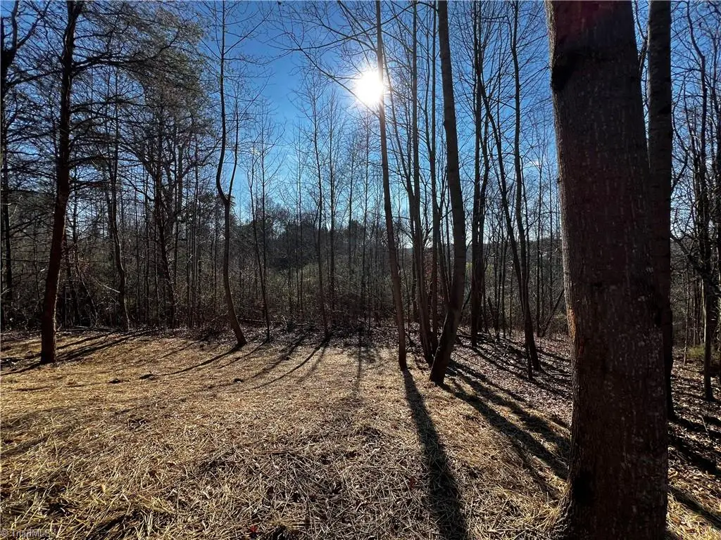 00 5th Creek Road, Statesville, NC 28625 - #1