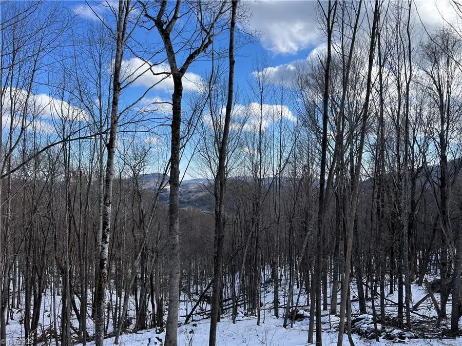 TBD (Lot 69) Poplar Forest Drive, Boone, NC 28607 - Image #3