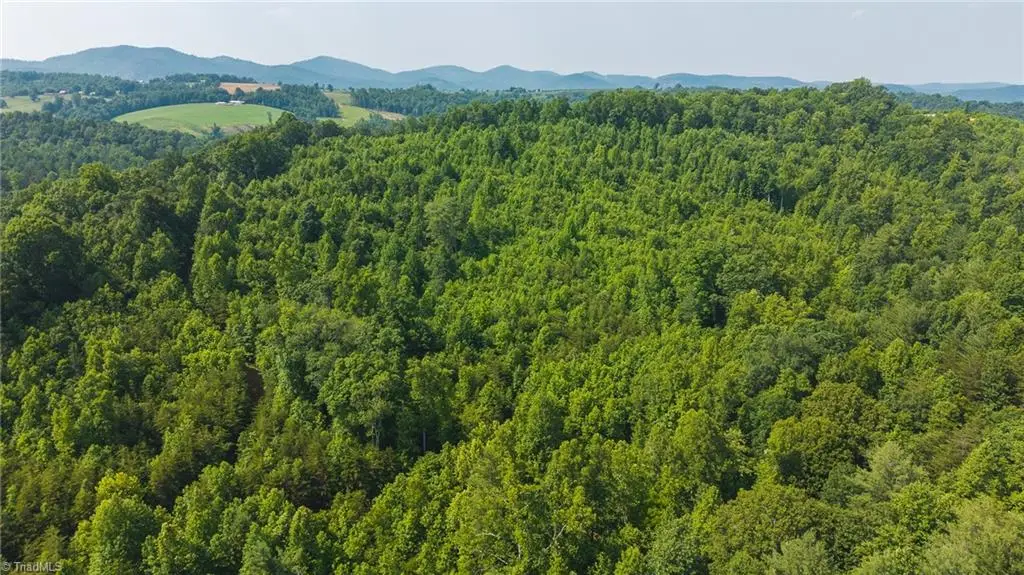 000 Old Vashti Road #2, Taylorsville, NC 28681 - #1