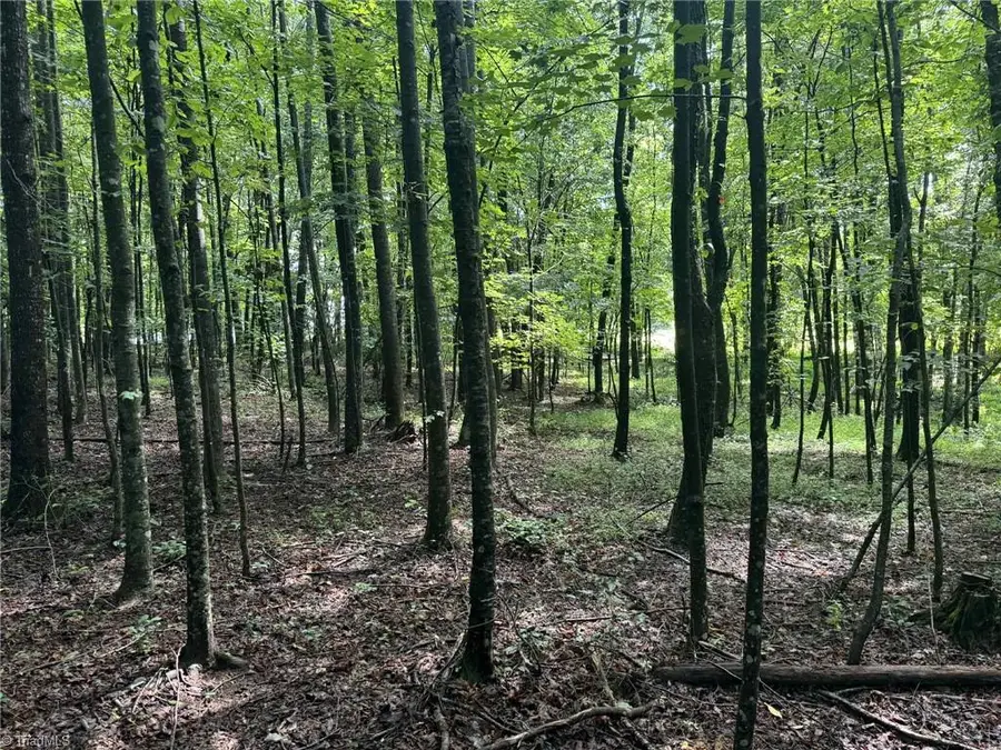 #3