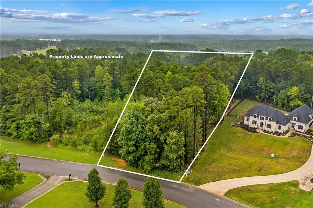 165 Wellington Estates Drive, China Grove, NC 28023 - Image #1